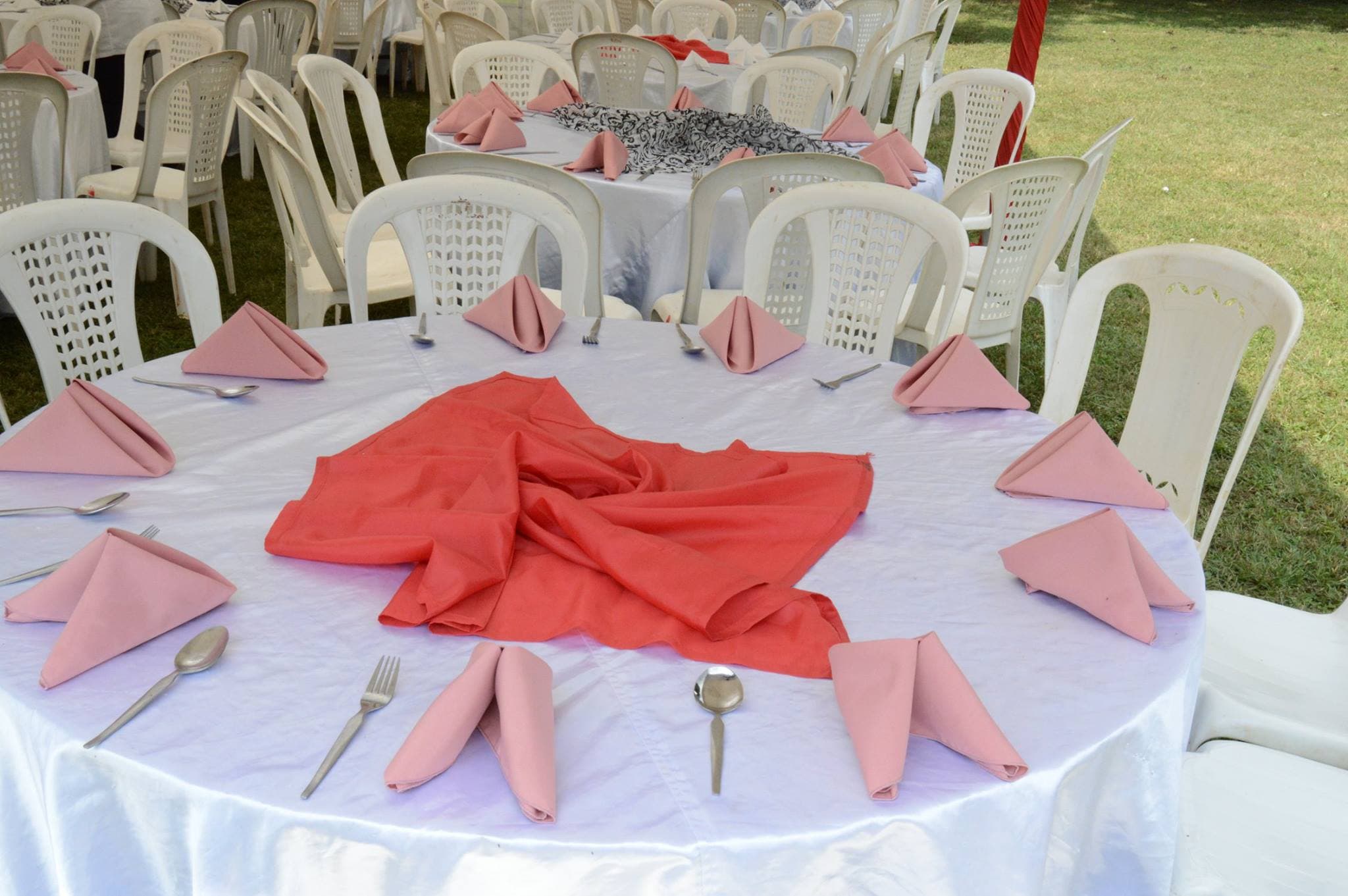 Buffet spread and plated dishes